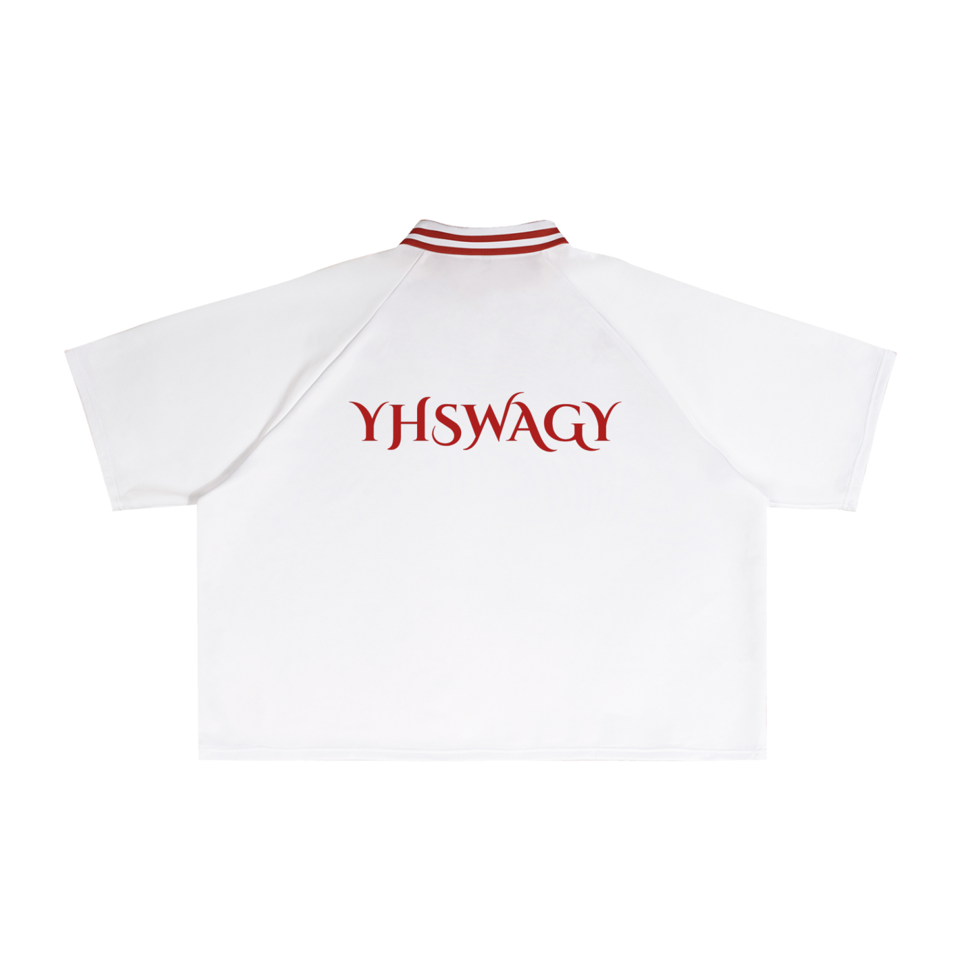 Contrast Lapel Collar Boxy T-Shirt